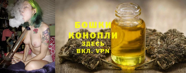 бошки Белокуриха