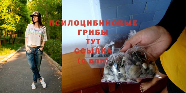 дживик Богданович
