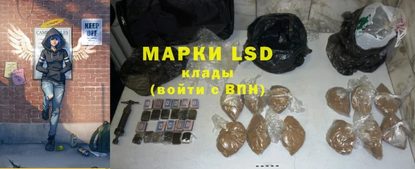 PSILOCYBIN Богородск
