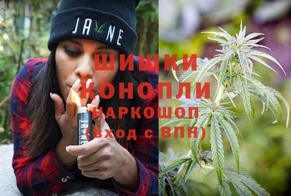 бошки Белокуриха