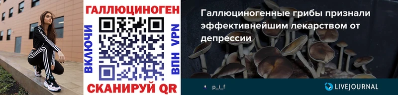 дарнет шоп  KRAKEN как войти  Галлюциногенные грибы Cubensis  Берёзовский 